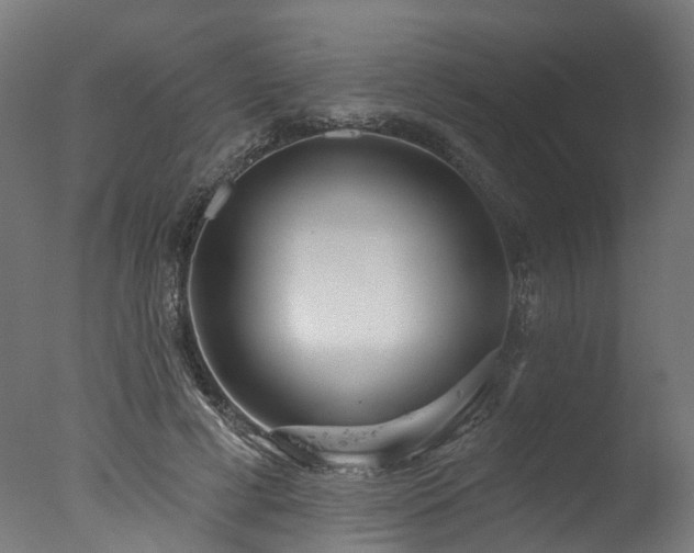 X0000077310593200610201155