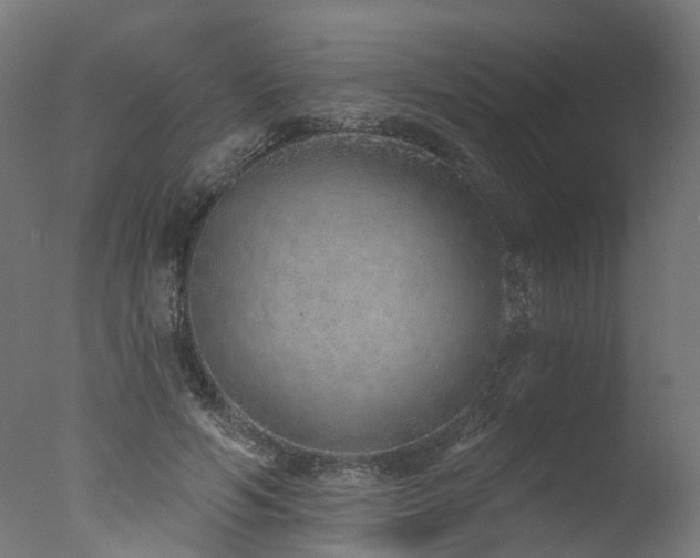X0000077310594200610201155