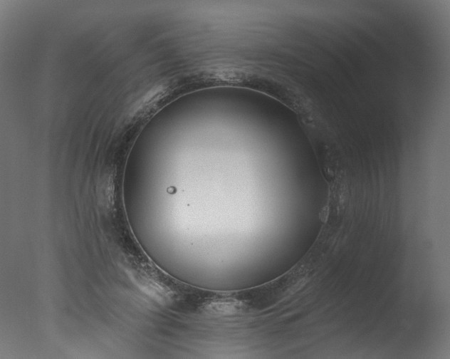 X0000077310595200610201155