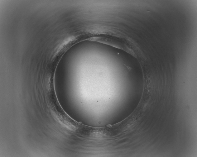 X0000077310596200610201155