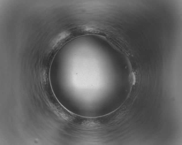 X0000077310597200610201155