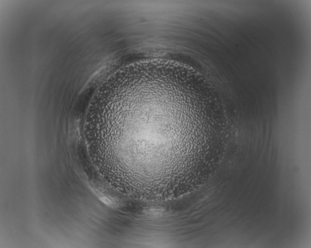 X0000077310598200610201155