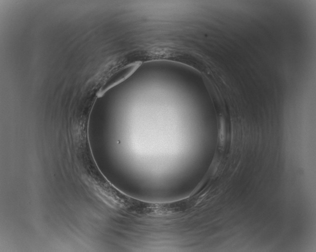 X0000077310601200610201155