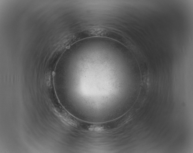 X0000077310602200610201155