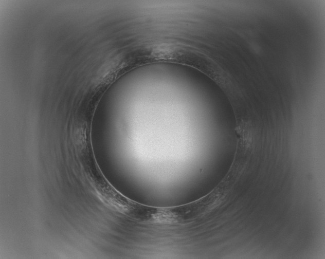 X0000077310603200610201155