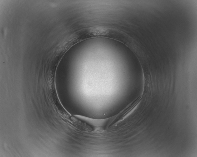 X0000077310604200610201155