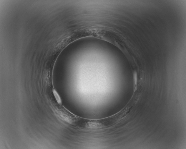 X0000077310605200610201155