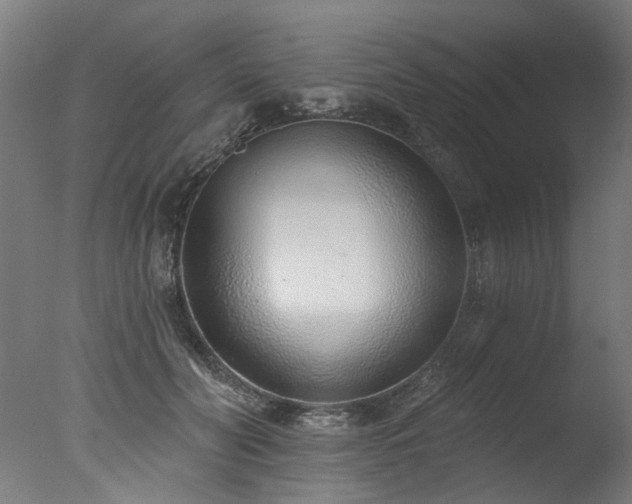 X0000077310606200610201155