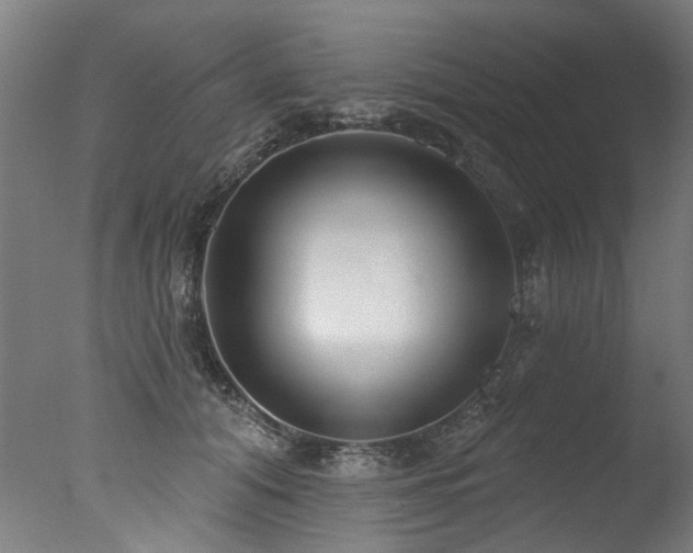 X0000077310608200610201155