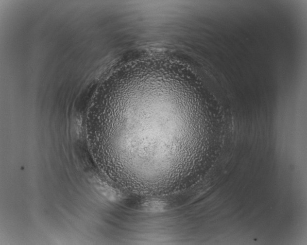 X0000077310610200610201155
