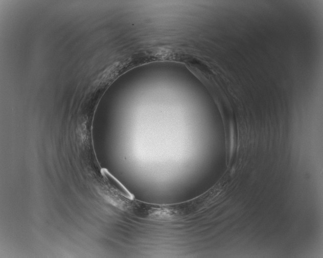 X0000077310611200610201155