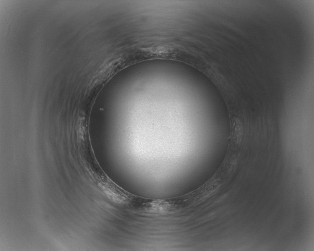 X0000077310612200610201155