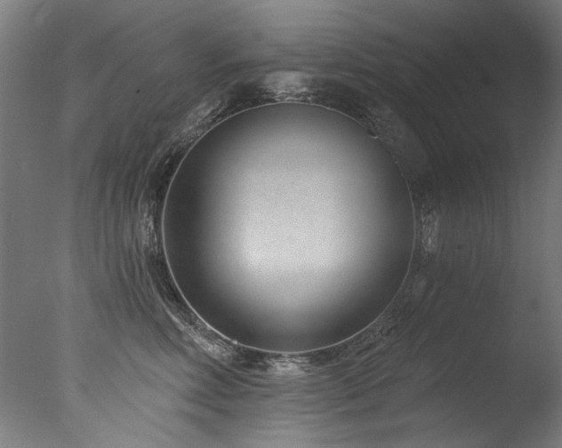 X0000077310618200610201155