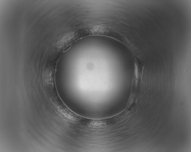 X0000077310619200610201155