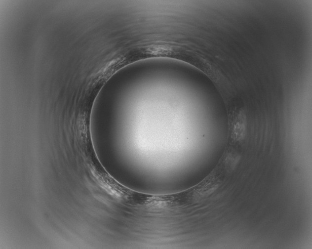 X0000077310620200610201155