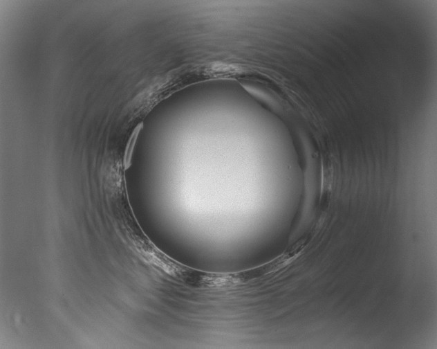X0000077310621200610201155