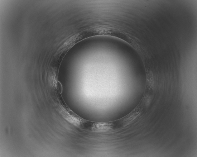 X0000077310622200610201155