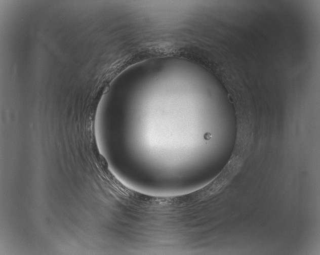 X0000077310624200610201155