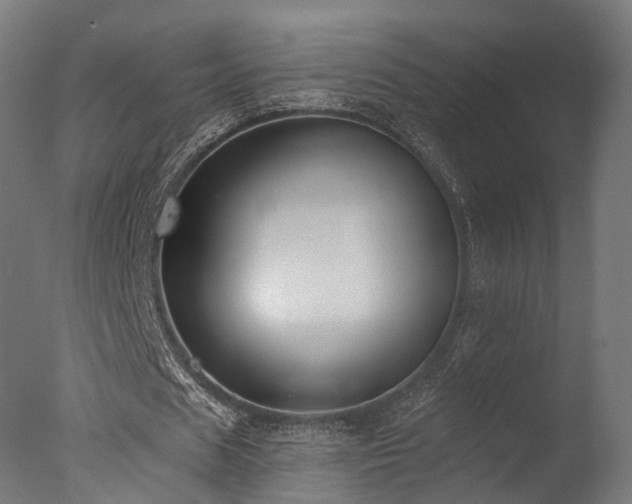X0000077310625200610201154