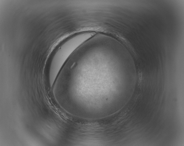 X0000077310628200610201154