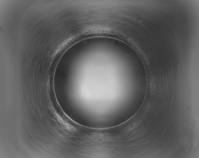 X0000077310629200610201154