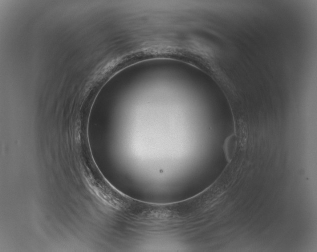 X0000077310631200610201154