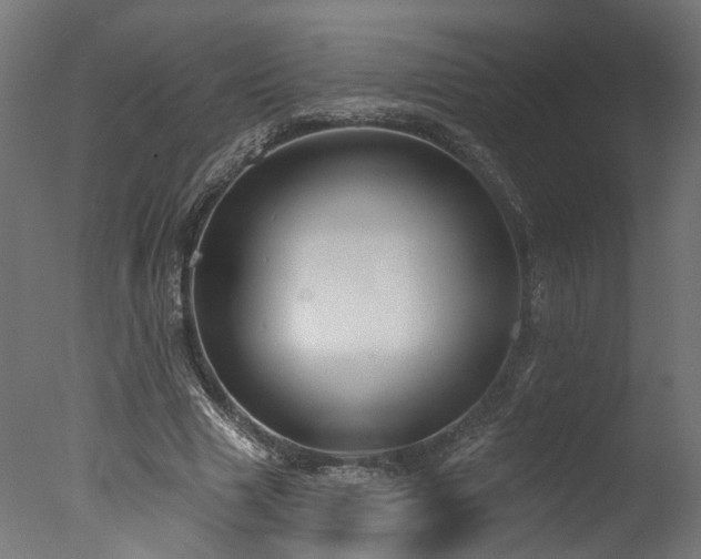 X0000077310633200610201154