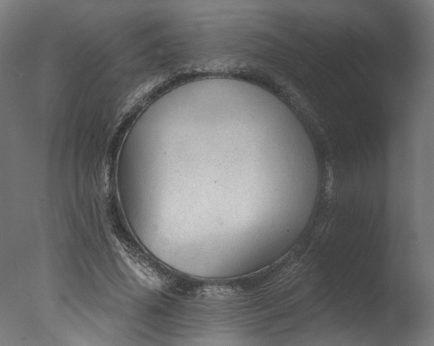 X0000077310636200610201154