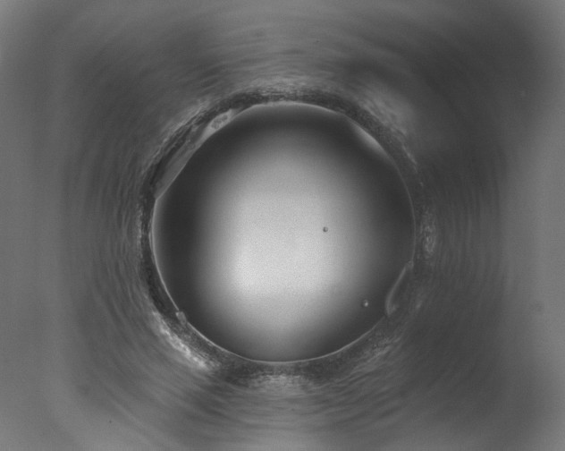 X0000077310637200610201154