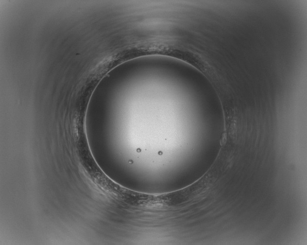 X0000077310643200610201154