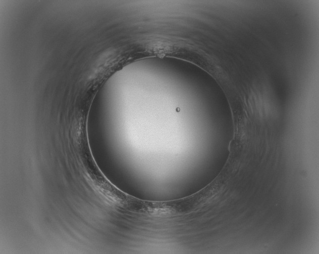 X0000077310645200610201154