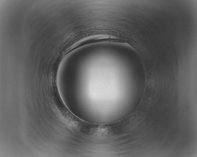 X0000077310647200610201154