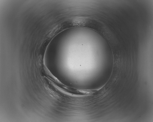 X0000077310649200610201154