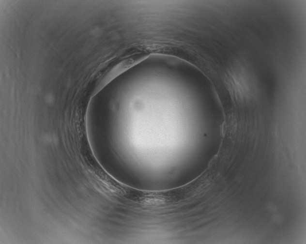 X0000077310653200610201154