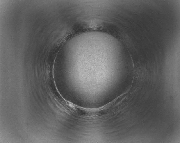 X0000077310656200610201154
