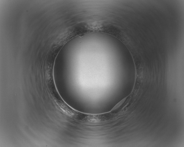 X0000077310658200610201154