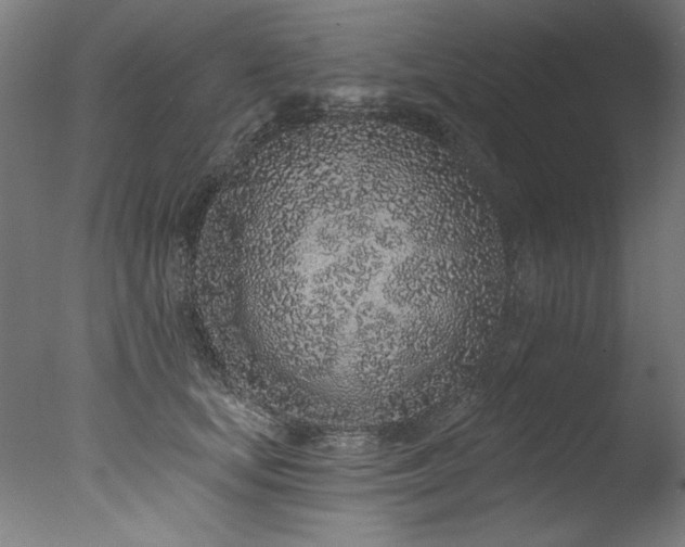 X0000077310659200610201154
