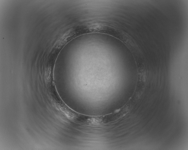 X0000077310660200610201154
