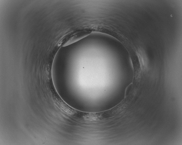 X0000077310661200610201154