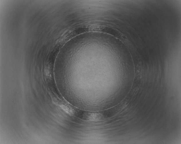 X0000077310663200610201154