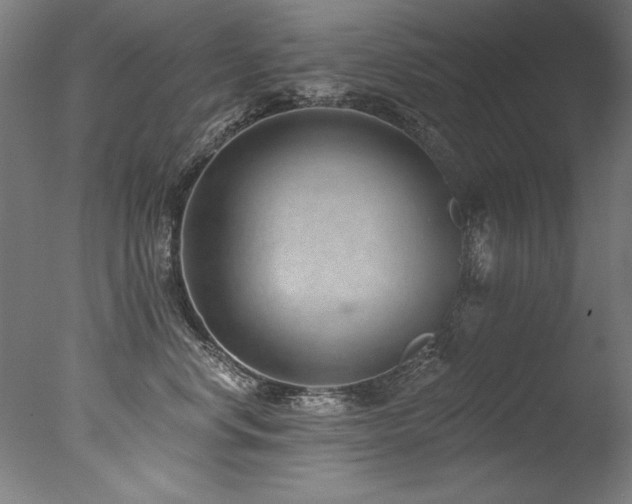 X0000077310668200610201155