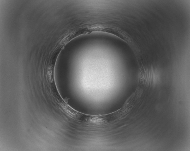 X0000077310669200610201155