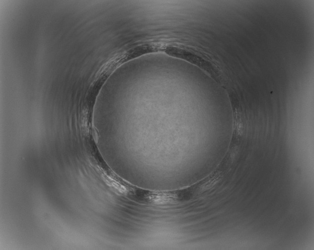 X0000077310670200610201155