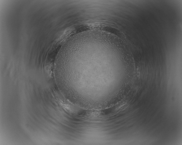 X0000077310671200610201155