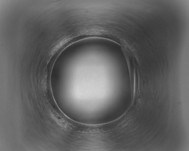 X0000077310675200610201154