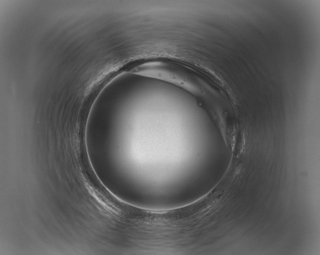 X0000077310677200610201154