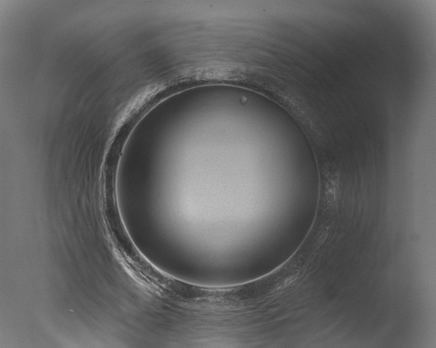 X0000077310678200610201154