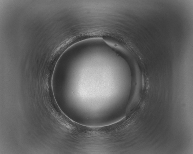 X0000077310681200610201154