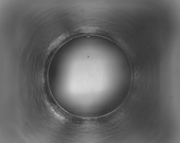 X0000077310682200610201154