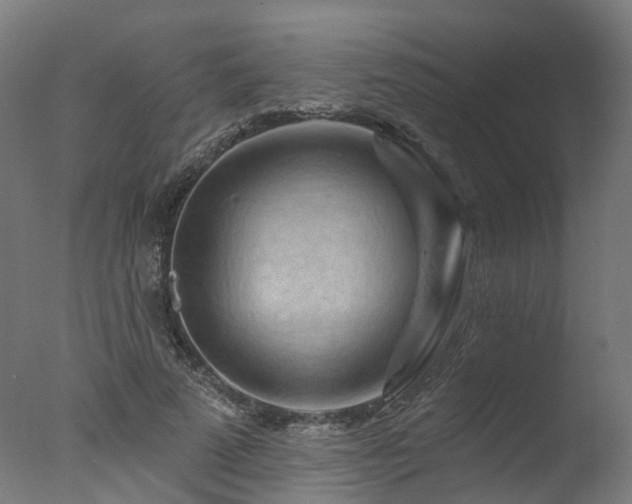X0000077310689200610201154